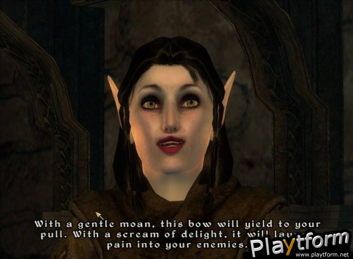 The Elder Scrolls IV: Shivering Isles (PC)