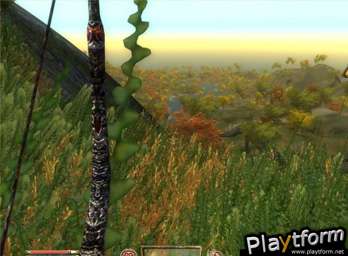 The Elder Scrolls IV: Shivering Isles (PC)