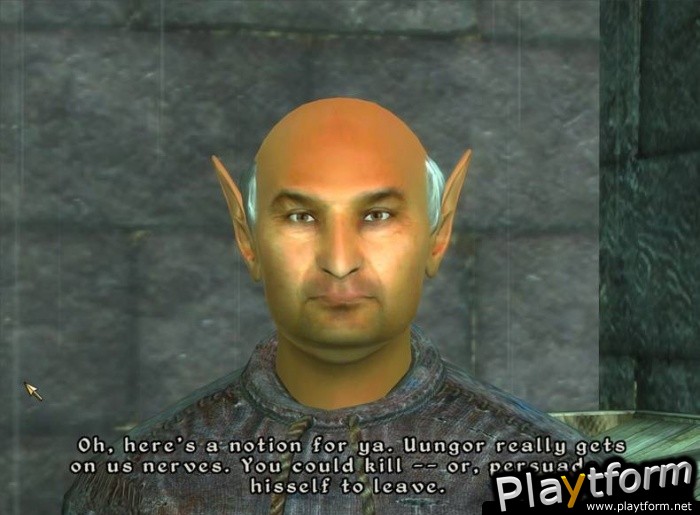 The Elder Scrolls IV: Shivering Isles (PC)