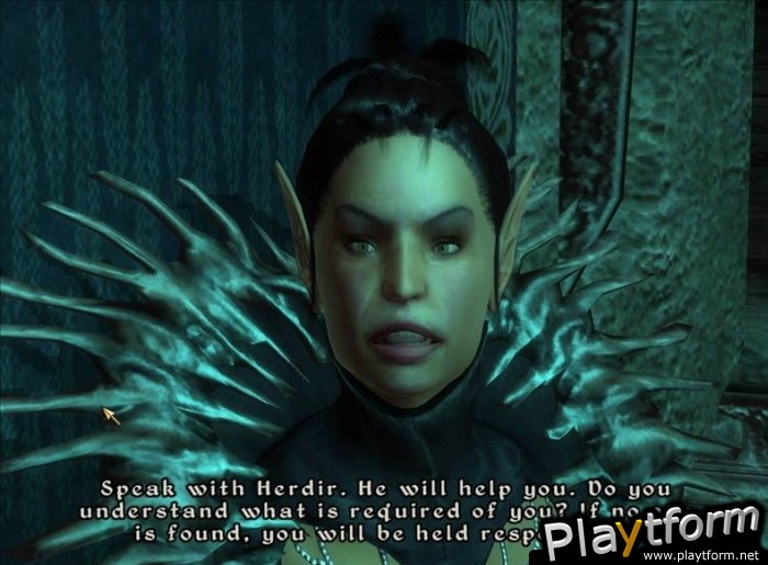 The Elder Scrolls IV: Shivering Isles (PC)