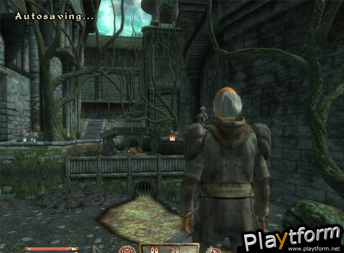 The Elder Scrolls IV: Shivering Isles (PC)