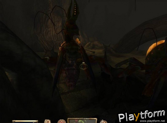 The Elder Scrolls IV: Shivering Isles (PC)