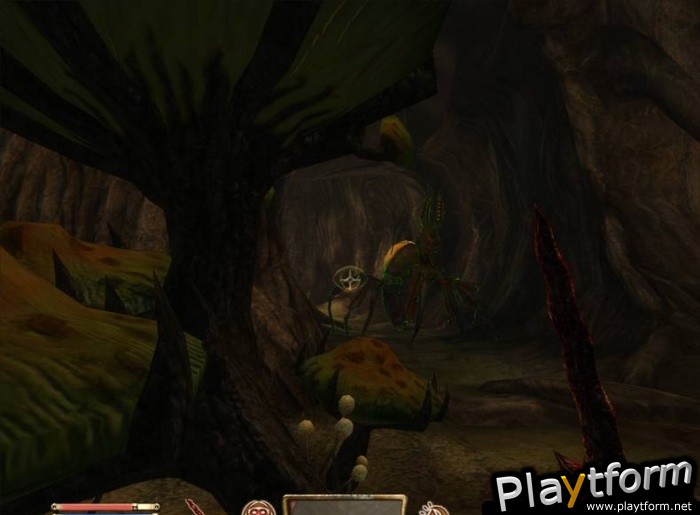 The Elder Scrolls IV: Shivering Isles (PC)