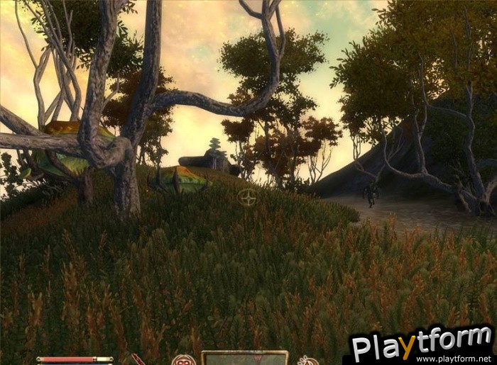 The Elder Scrolls IV: Shivering Isles (PC)