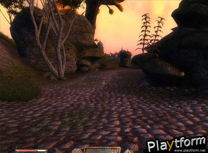 The Elder Scrolls IV: Shivering Isles (PC)