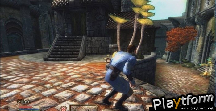 The Elder Scrolls IV: Shivering Isles (Xbox 360)