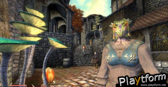 The Elder Scrolls IV: Shivering Isles (Xbox 360)