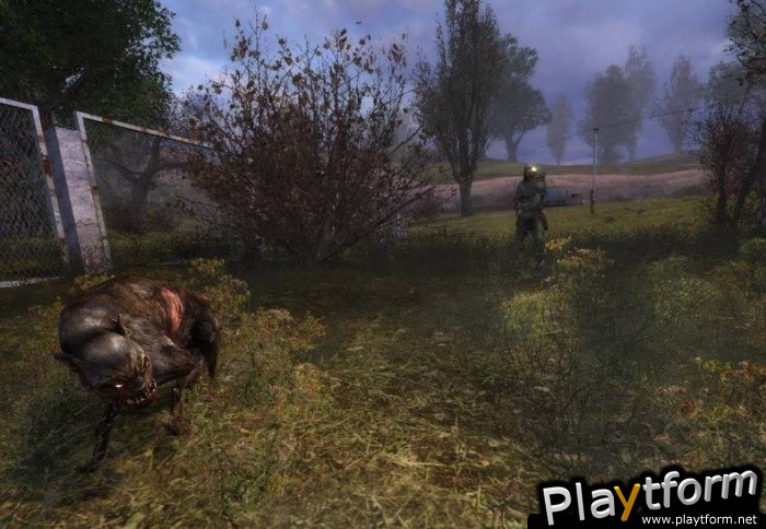 S.T.A.L.K.E.R.: Shadow of Chernobyl (PC)