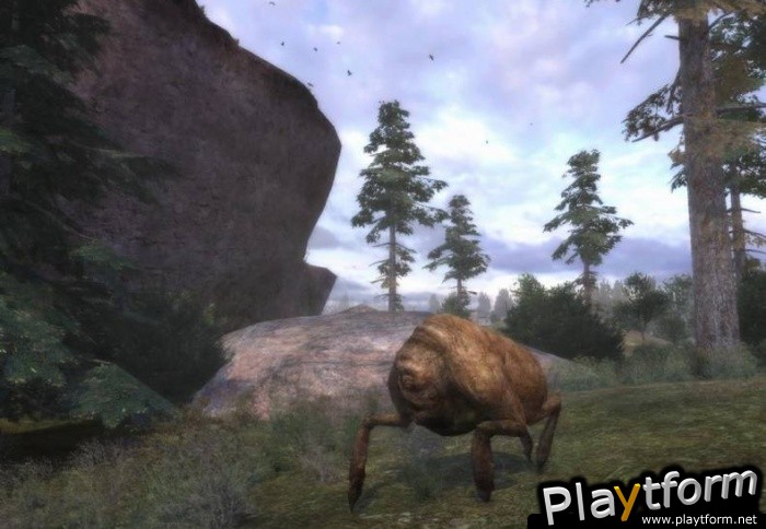 S.T.A.L.K.E.R.: Shadow of Chernobyl (PC)