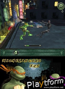 TMNT (DS)
