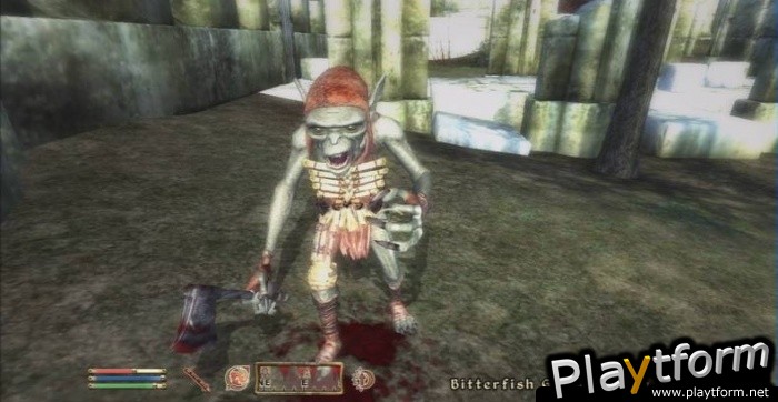 The Elder Scrolls IV: Oblivion (PlayStation 3)
