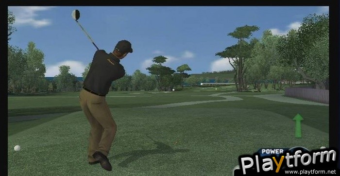 Tiger Woods PGA Tour 07 (Wii)