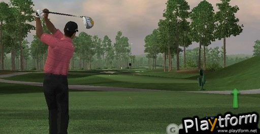 Tiger Woods PGA Tour 07 (Wii)