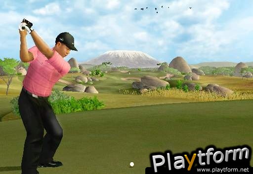 Tiger Woods PGA Tour 07 (Wii)