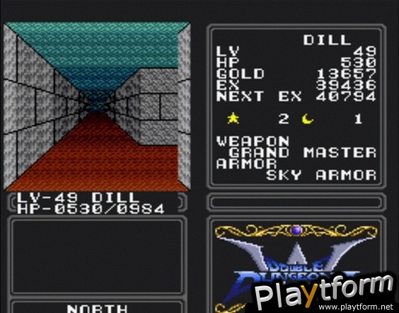 Double Dungeons (Wii)
