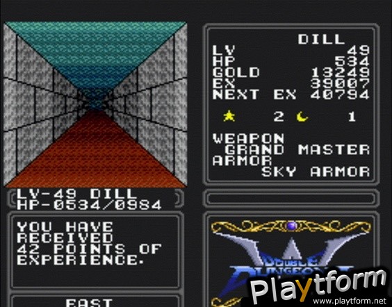 Double Dungeons (Wii)