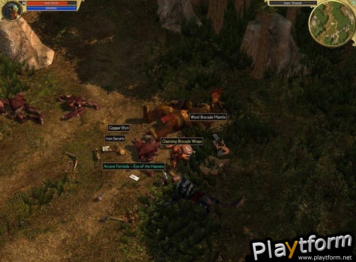 Titan Quest: Immortal Throne (PC)