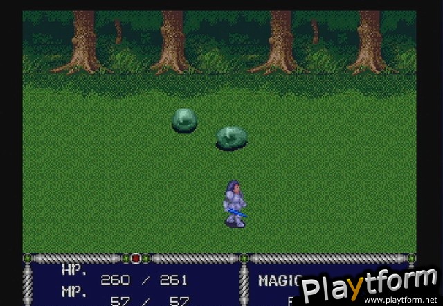 Sword of Vermilion (Wii)