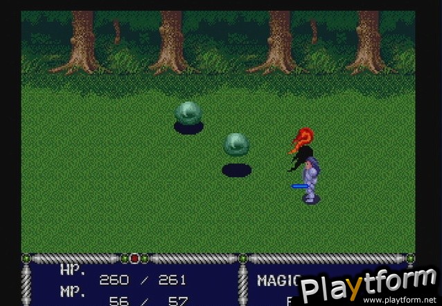 Sword of Vermilion (Wii)