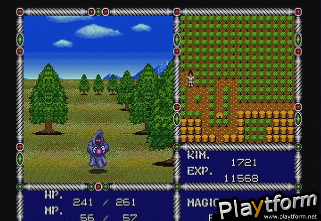 Sword of Vermilion (Wii)
