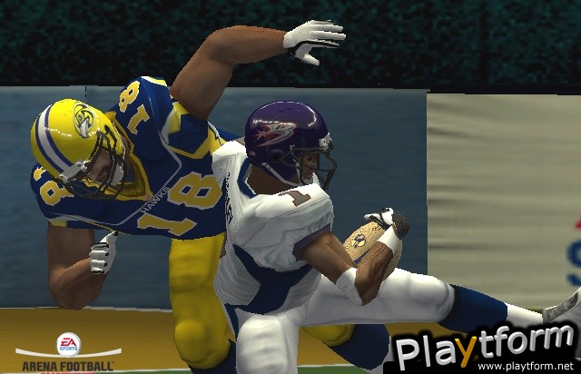 Arena Football: Road to Glory (PlayStation 2)