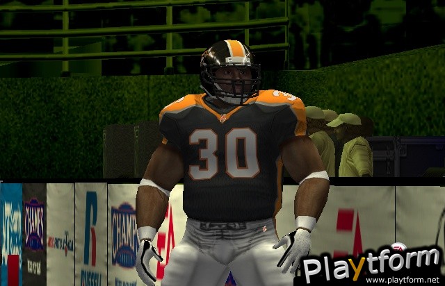 Arena Football: Road to Glory (PlayStation 2)