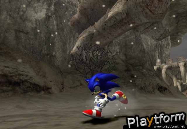 Sonic and the Secret Rings (Wii)