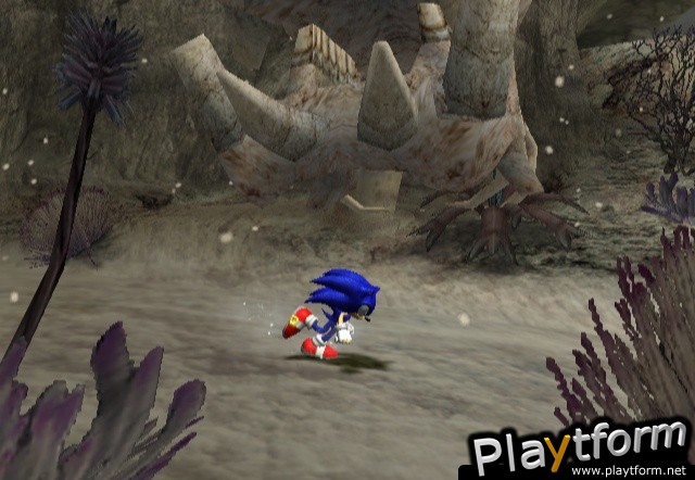 Sonic and the Secret Rings (Wii)