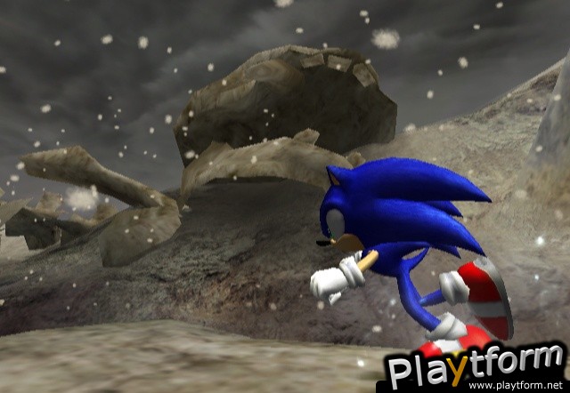 Sonic and the Secret Rings (Wii)