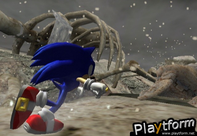 Sonic and the Secret Rings (Wii)