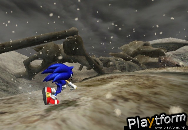 Sonic and the Secret Rings (Wii)