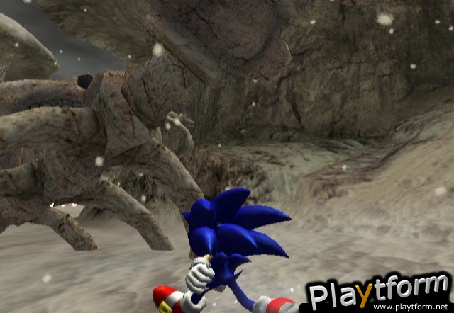 Sonic and the Secret Rings (Wii)
