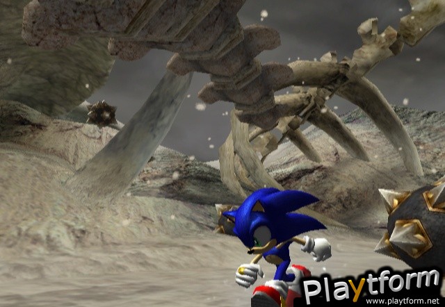 Sonic and the Secret Rings (Wii)