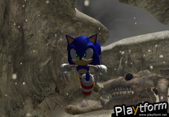 Sonic and the Secret Rings (Wii)