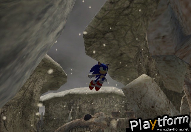 Sonic and the Secret Rings (Wii)
