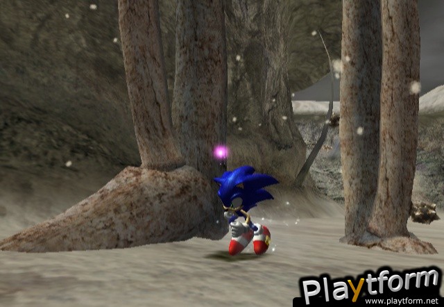 Sonic and the Secret Rings (Wii)