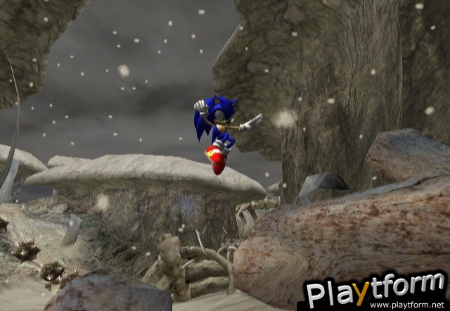 Sonic and the Secret Rings (Wii)