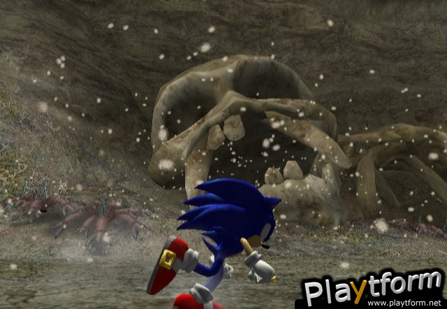 Sonic and the Secret Rings (Wii)