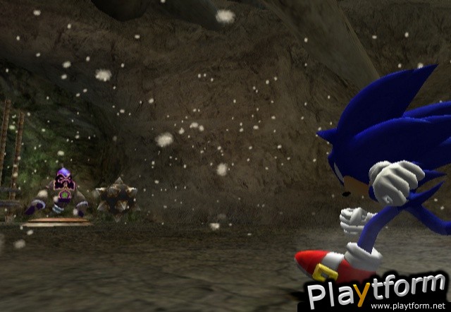 Sonic and the Secret Rings (Wii)