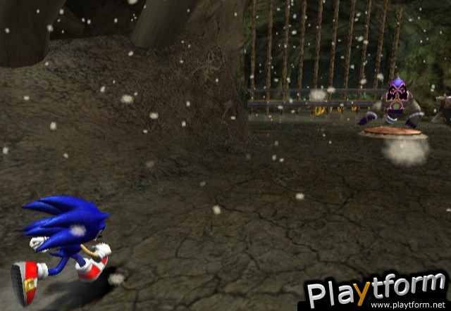 Sonic and the Secret Rings (Wii)
