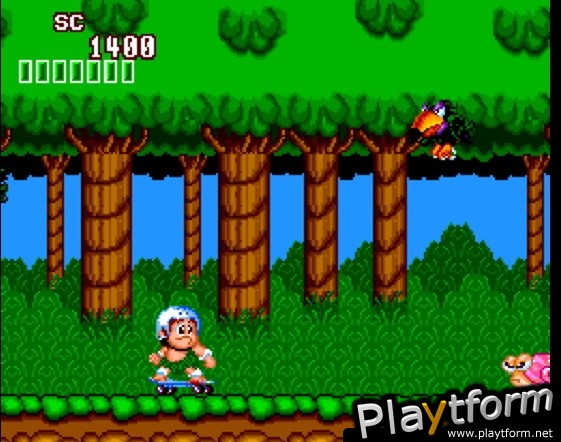 New Adventure Island (Wii)