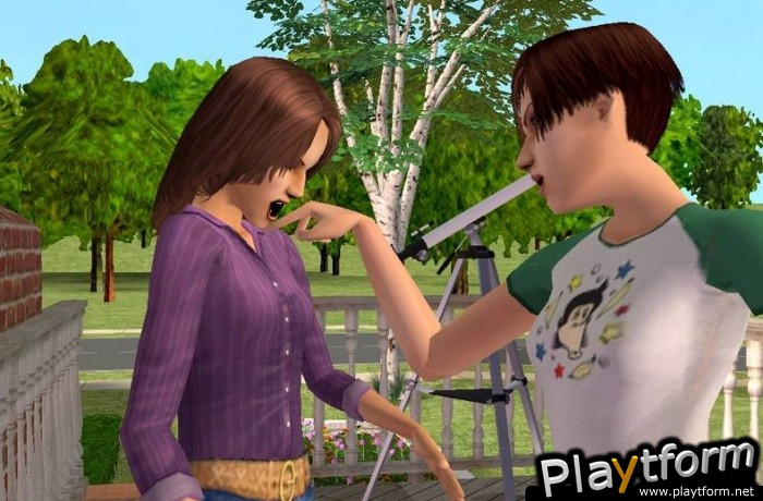 The Sims Life Stories (PC)