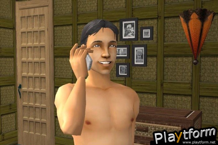 The Sims Life Stories (PC)