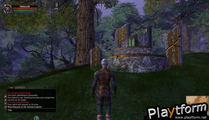 Vanguard: Saga of Heroes (PC)