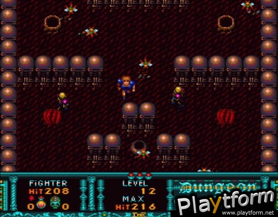 Dungeon Explorer (Wii)