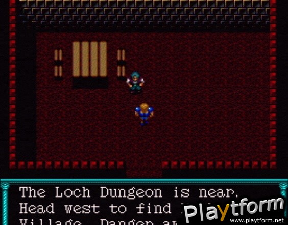 Dungeon Explorer (Wii)