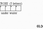 The New York Times Crosswords (DS)