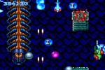 Blazing Lazers (Wii)