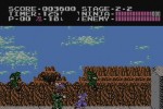 Ninja Gaiden (NES) (Wii)