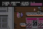 Ninja Gaiden (NES) (Wii)